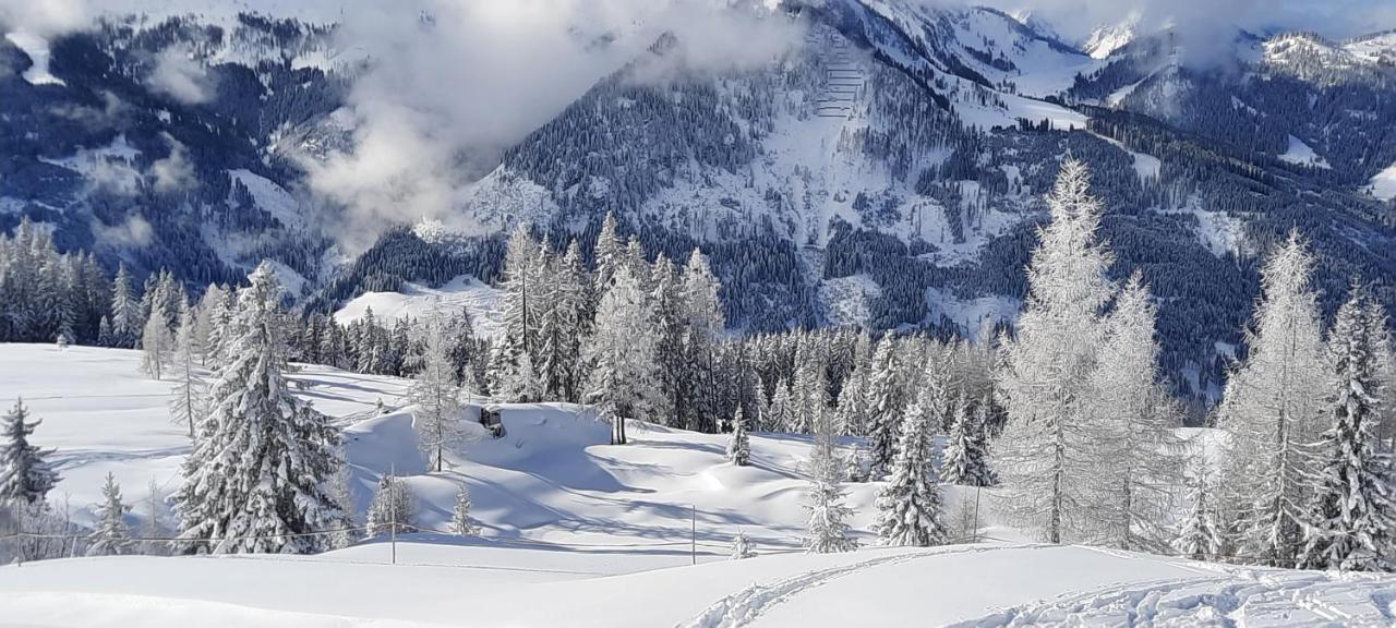 Bed & Breakfast Auhof Flachau